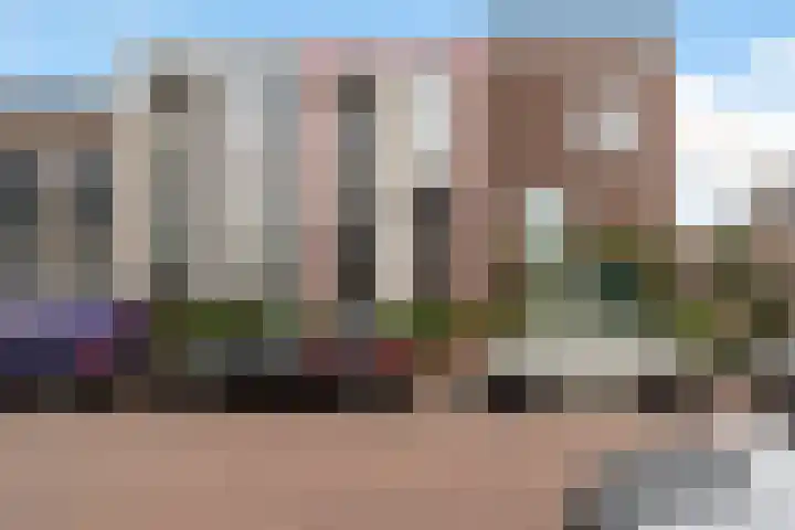 Meerkoetstraat 37 in Den Haag