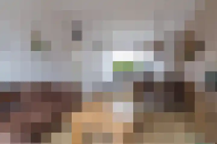 Meerkoetstraat 44 Kollum thumbnail 10