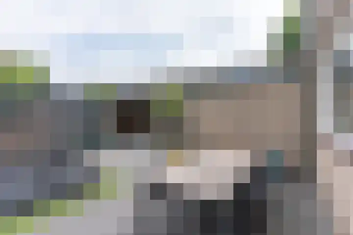 Meerkoetstraat 56 Ermelo thumbnail 38