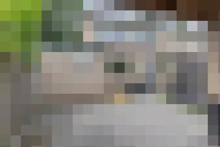 Meerkoetstraat 56 Ermelo thumbnail 39