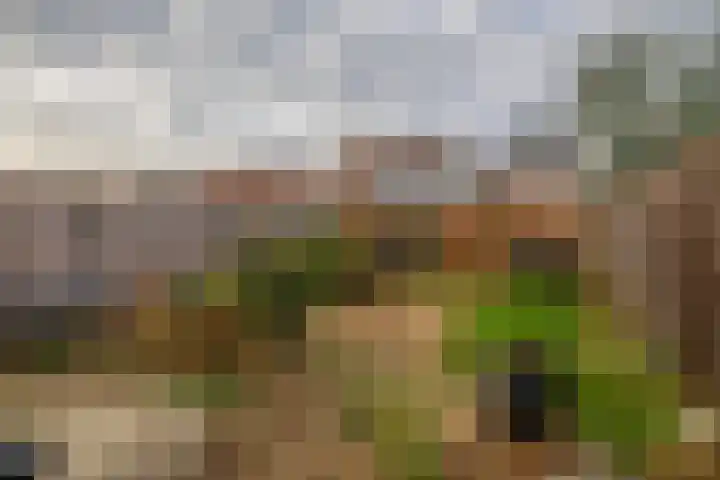 Meerkoetstraat 57 Capelle aan den IJssel thumbnail 29