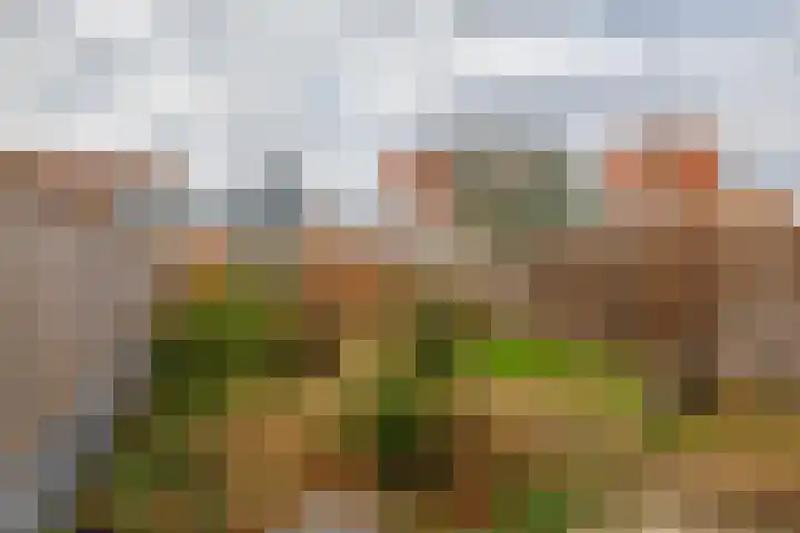 Meerkoetstraat 57 Capelle aan den IJssel thumbnail 30