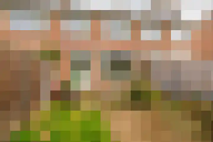 Meerkoetstraat 57 Capelle aan den IJssel thumbnail 31