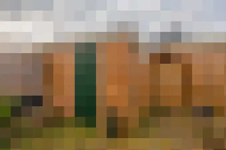 Meerkoetstraat 57 Capelle aan den IJssel thumbnail 32
