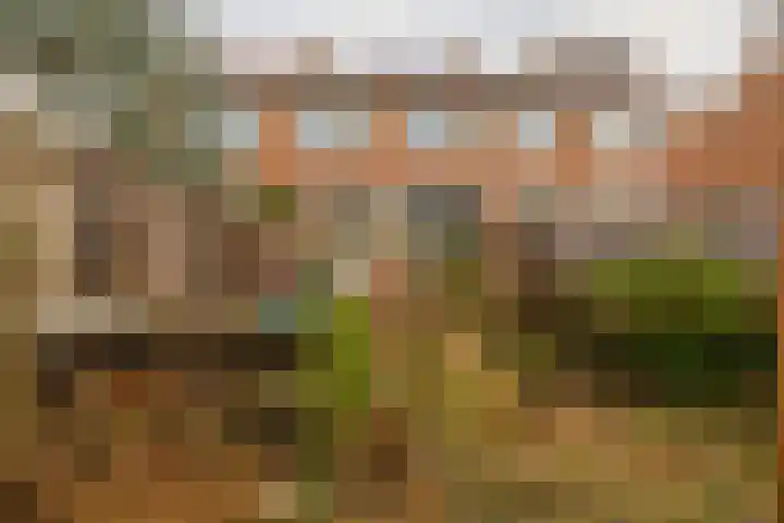 Meerkoetstraat 57 Capelle aan den IJssel thumbnail 33