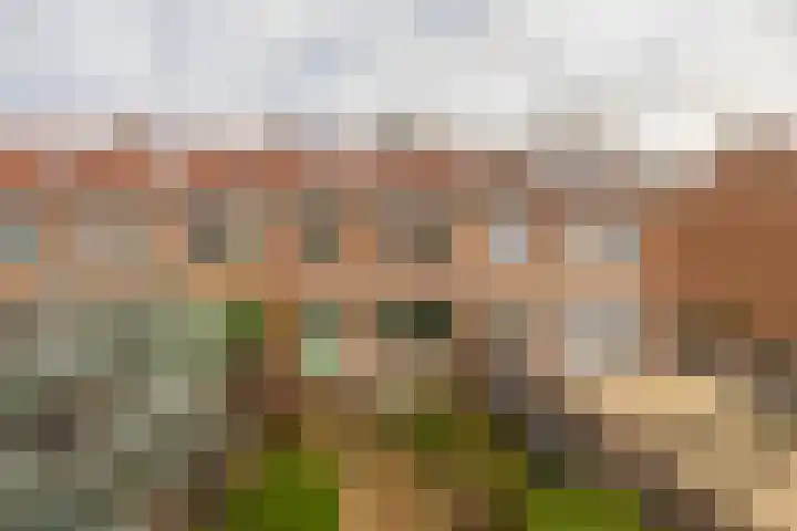 Meerkoetstraat 57 Capelle aan den IJssel thumbnail 34