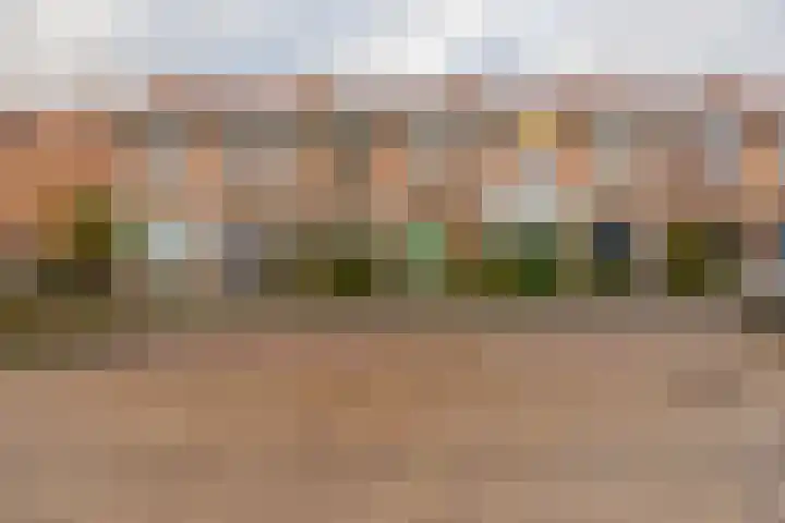 Meerkoetstraat 57 Capelle aan den IJssel thumbnail 35