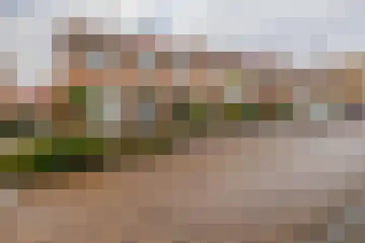 Meerkoetstraat 57 Capelle aan den IJssel thumbnail 36