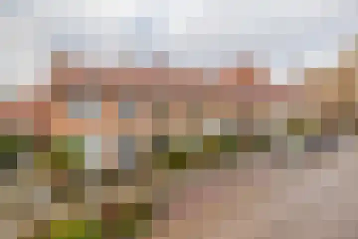 Meerkoetstraat 57 Capelle aan den IJssel thumbnail 37