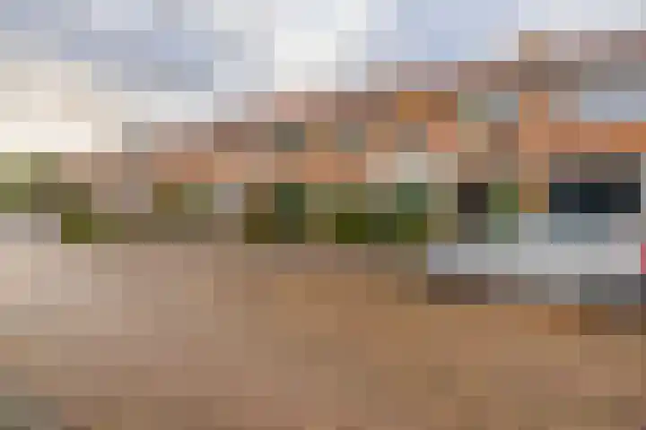 Meerkoetstraat 57 Capelle aan den IJssel thumbnail 38