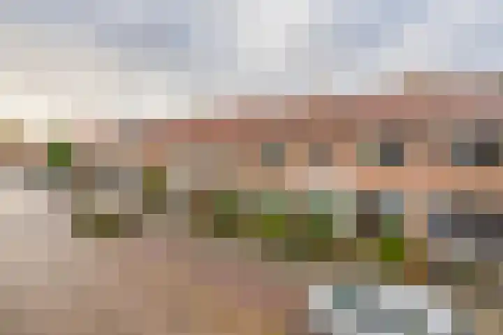Meerkoetstraat 57 Capelle aan den IJssel thumbnail 39