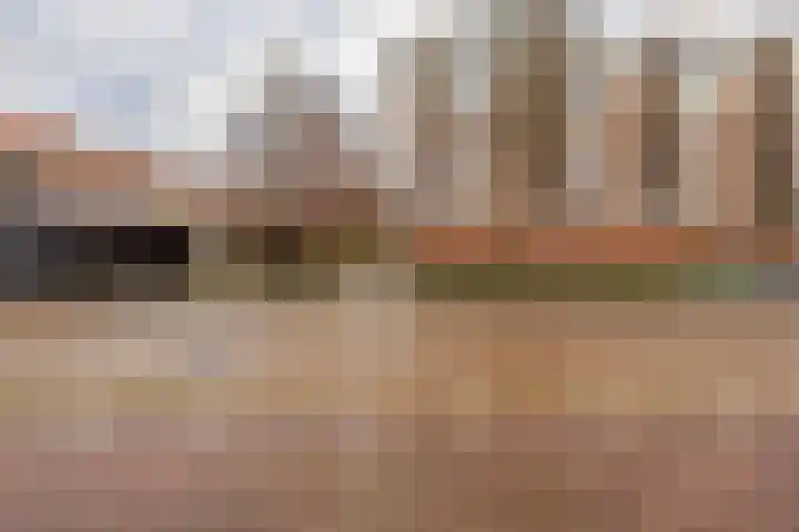 Meerkoetstraat 57 Capelle aan den IJssel thumbnail 40