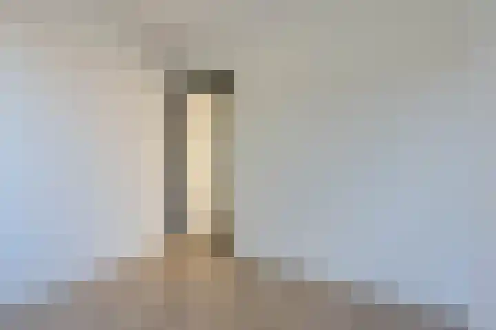 Meerkoetstraat 65 Rotterdam thumbnail 16