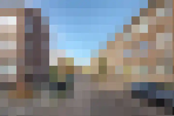 Meerkoetstraat 65 Rotterdam thumbnail 22