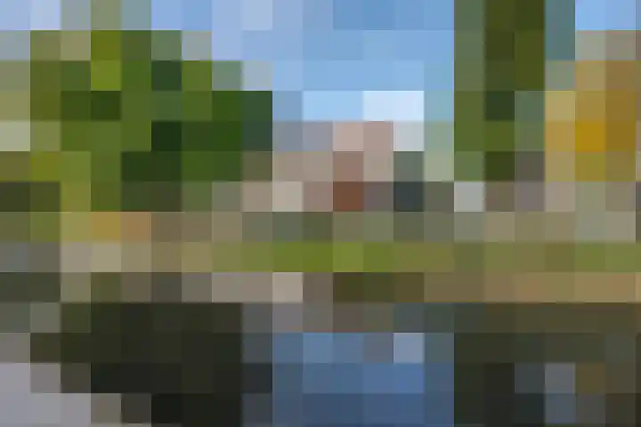 Meerkoetstraat 65 Rotterdam thumbnail 24