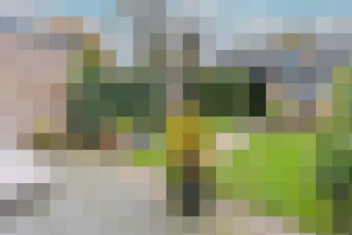 Meerkoetstraat 66 Ermelo thumbnail 31