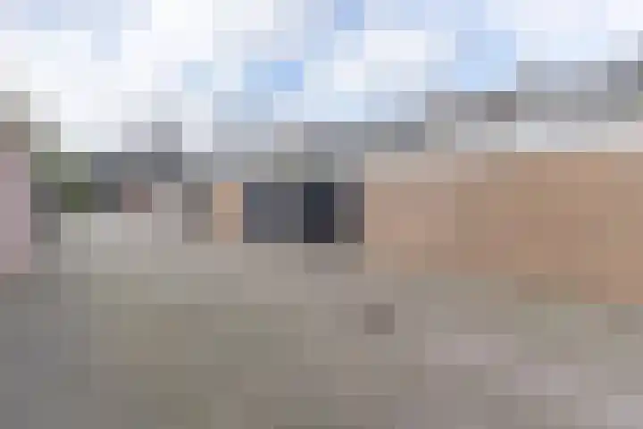 Meerkoetstraat 66 Ermelo thumbnail 32