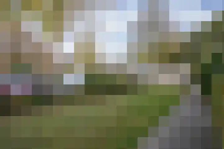 Meerkoetstraat 66 Ermelo thumbnail 34