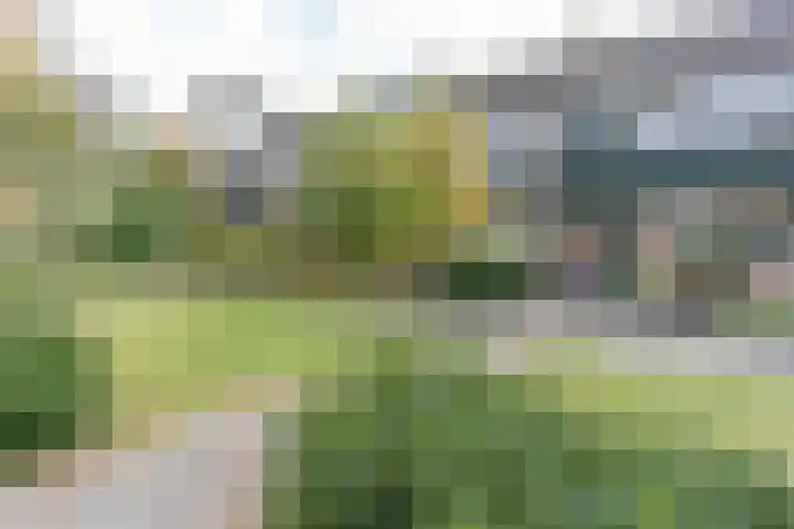 Meerkoetstraat 66 Ermelo thumbnail 4