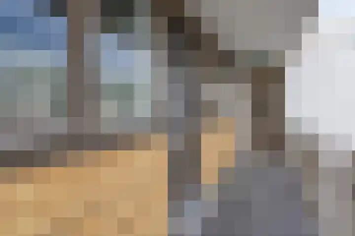 Meerkoetstraat 67 Zwijndrecht thumbnail 6
