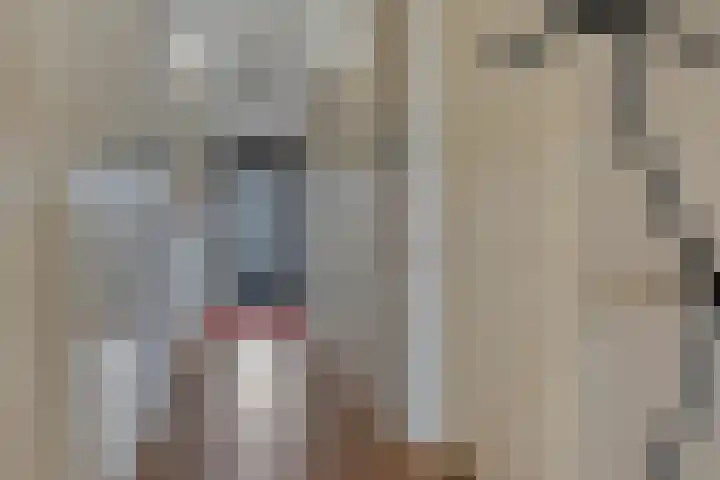 Meerkoetstraat 67 Zwijndrecht thumbnail 8