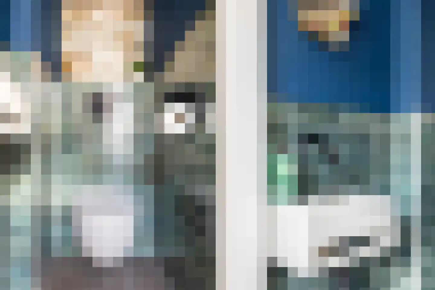 Meerkoetstraat 7 Ermelo thumbnail 12
