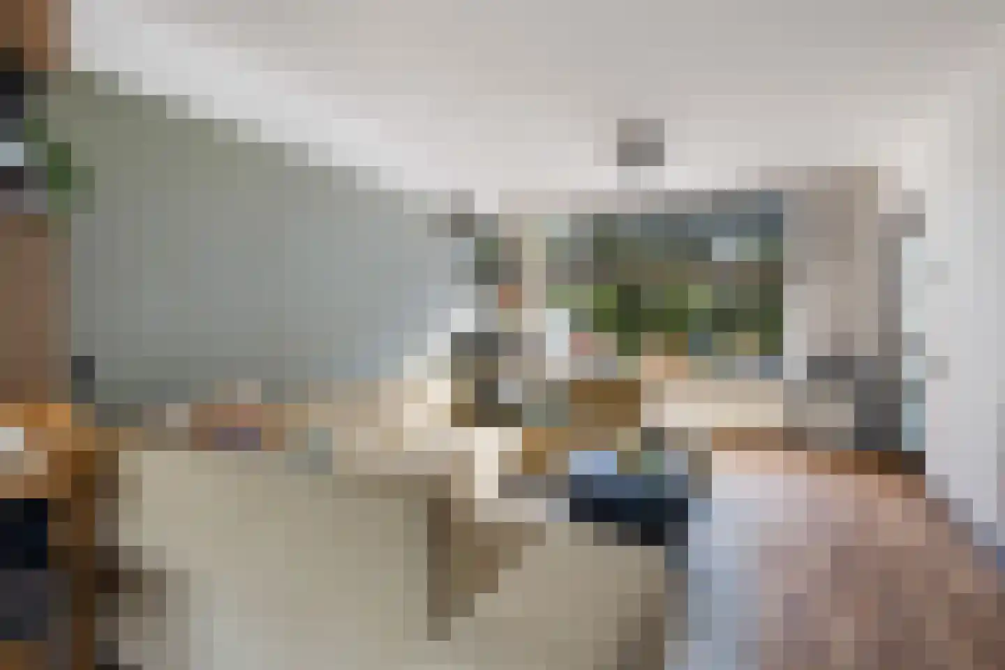 Meerkoetstraat 7 Ermelo thumbnail 16