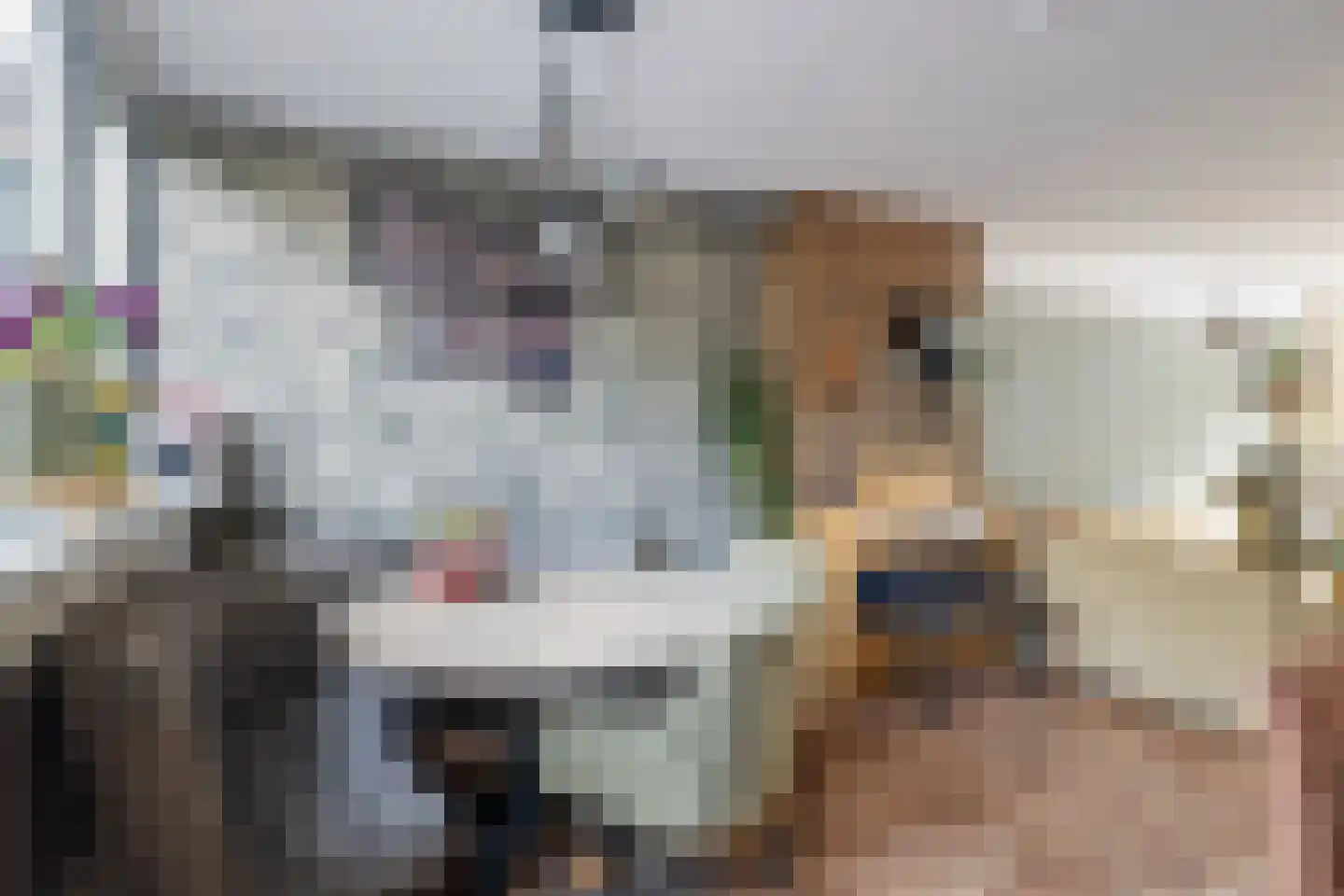 Meerkoetstraat 7 Ermelo thumbnail 18