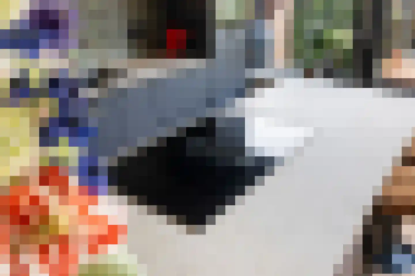 Meerkoetstraat 7 Ermelo thumbnail 21
