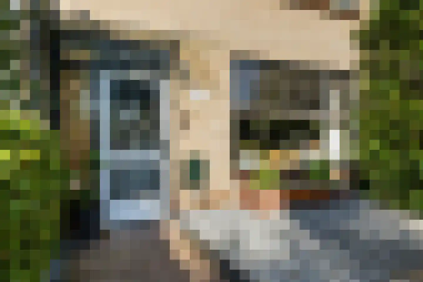 Meerkoetstraat 7 Ermelo thumbnail 9