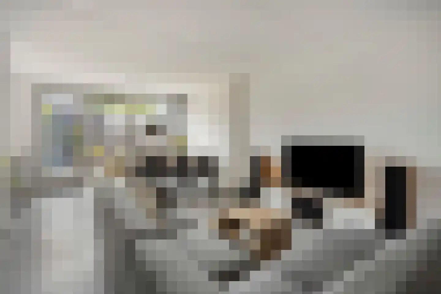 Meerkoetstraat 70 Duiven thumbnail 10