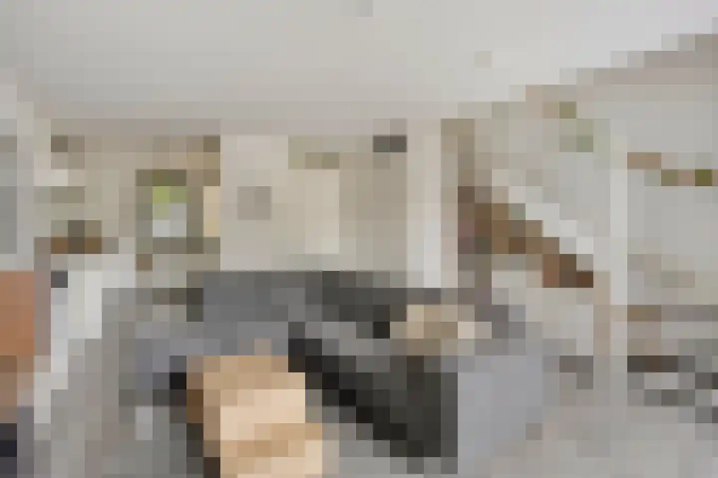 Meerkoetstraat 70 Duiven thumbnail 13