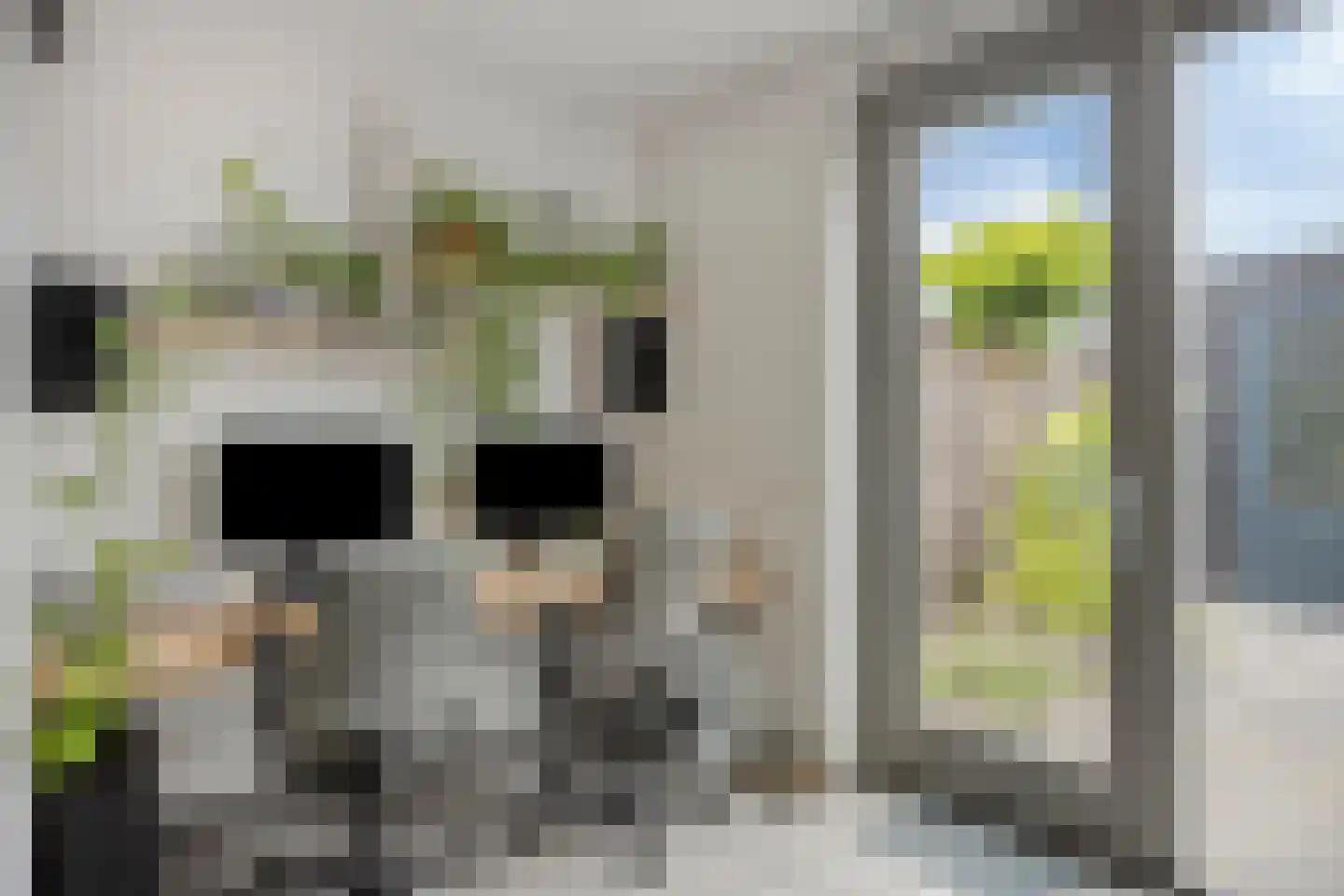 Meerkoetstraat 70 Duiven thumbnail 15