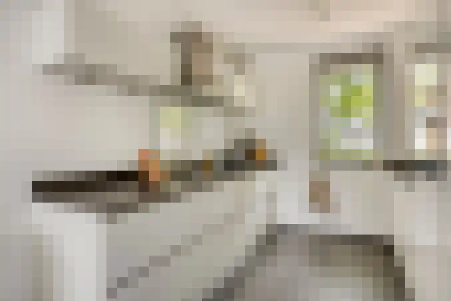 Meerkoetstraat 70 Duiven thumbnail 17