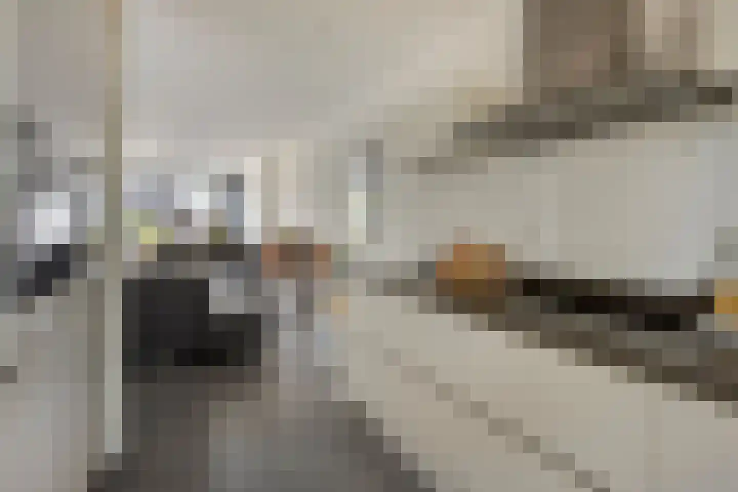 Meerkoetstraat 70 Duiven thumbnail 20