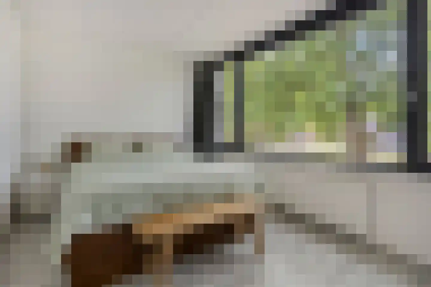 Meerkoetstraat 70 Duiven thumbnail 22