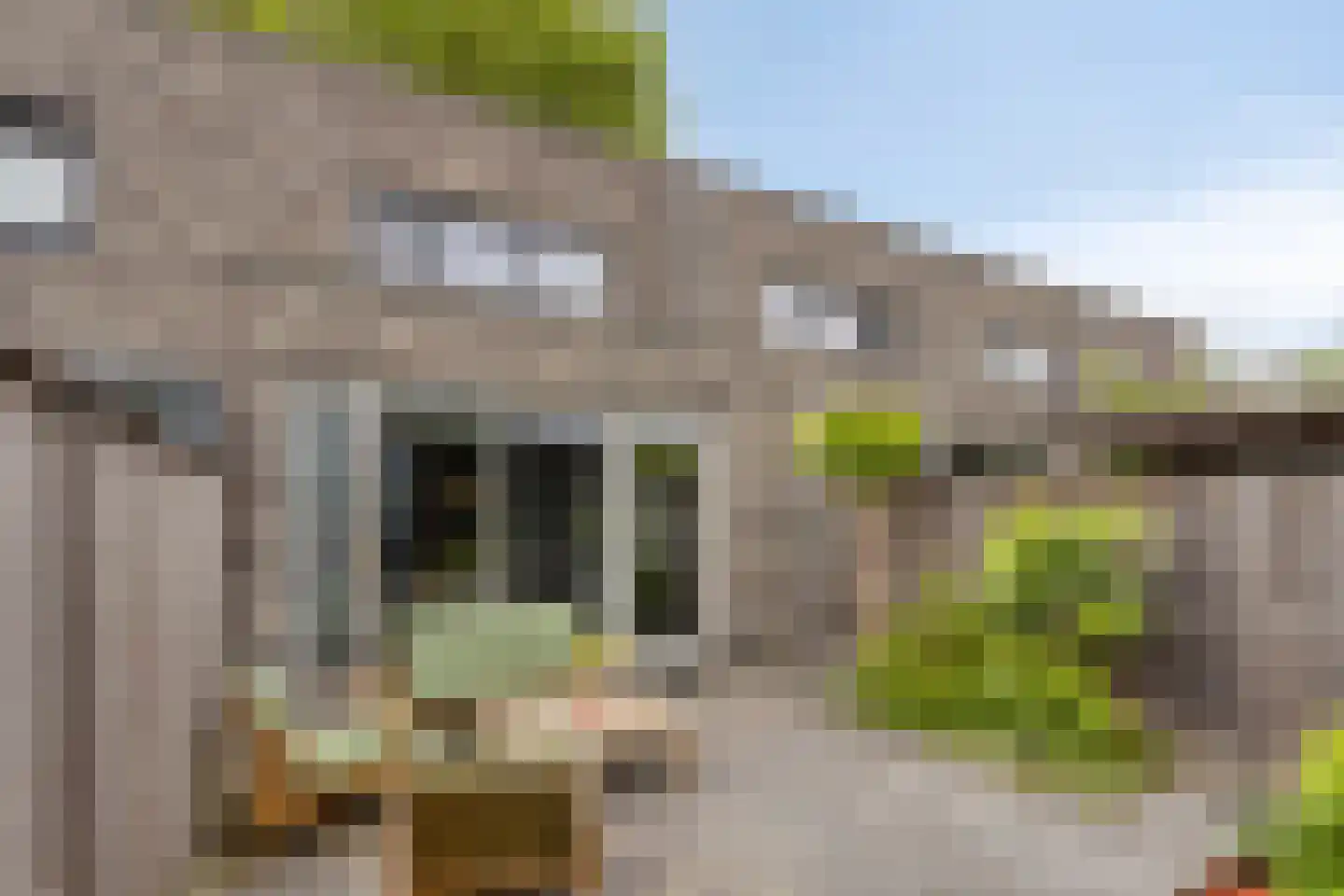 Meerkoetstraat 70 Duiven thumbnail 30