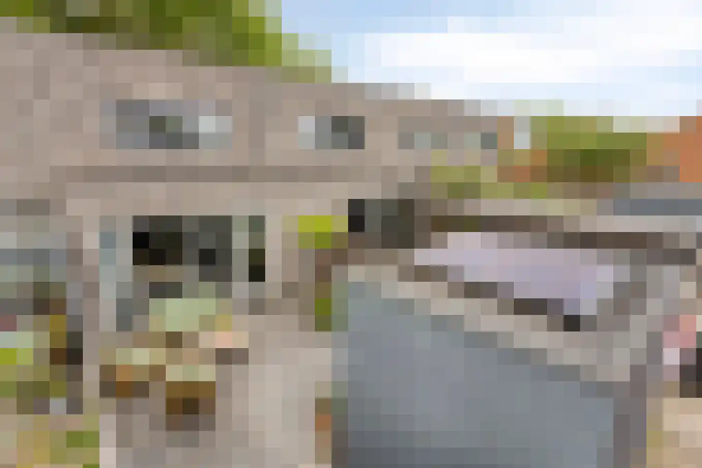 Meerkoetstraat 70 Duiven thumbnail 31