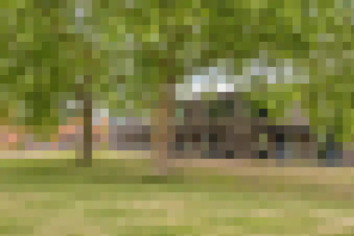 Meerkoetstraat 70 Duiven thumbnail 32