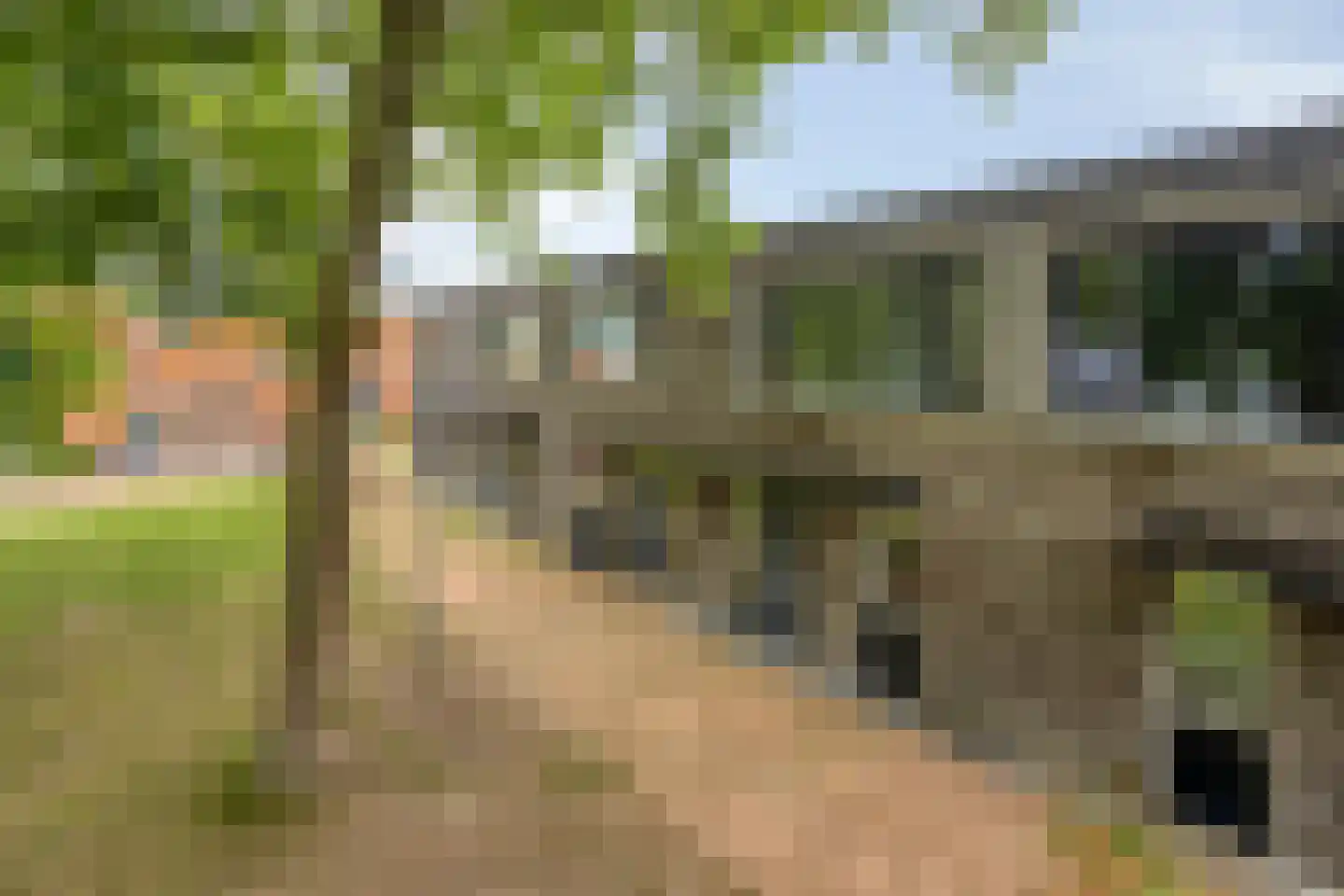 Meerkoetstraat 70 Duiven thumbnail 33