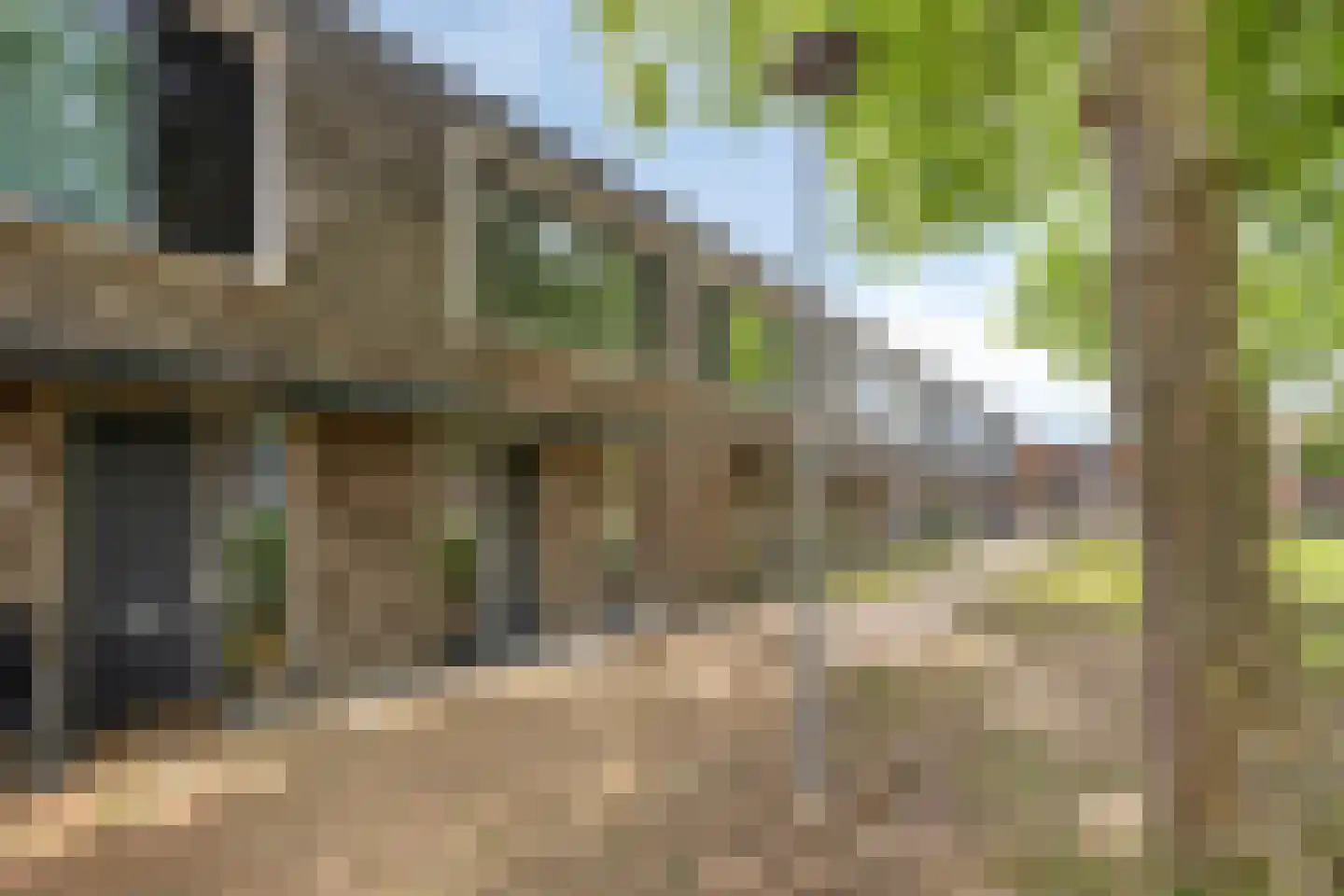 Meerkoetstraat 70 Duiven thumbnail 35