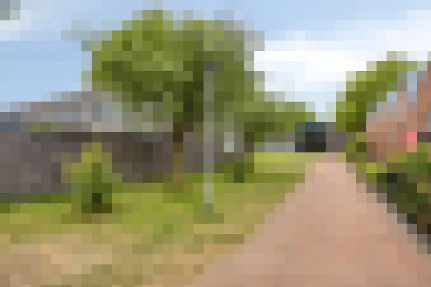 Meerkoetstraat 70 Duiven thumbnail 37