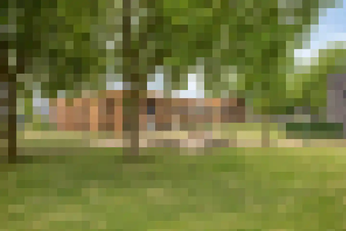 Meerkoetstraat 70 Duiven thumbnail 38