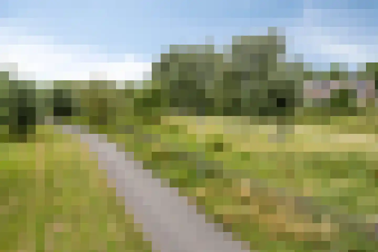 Meerkoetstraat 70 Duiven thumbnail 39