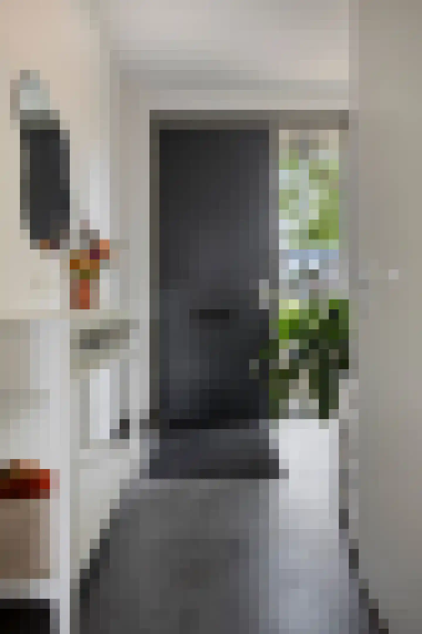 Meerkoetstraat 70 Duiven thumbnail 5