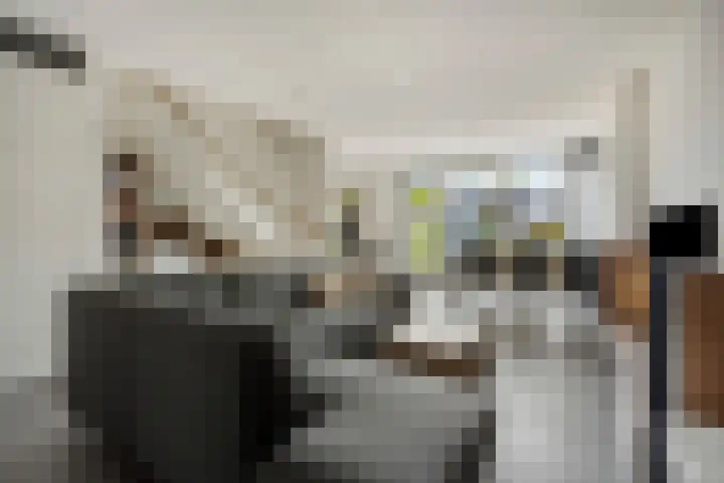 Meerkoetstraat 70 Duiven thumbnail 8