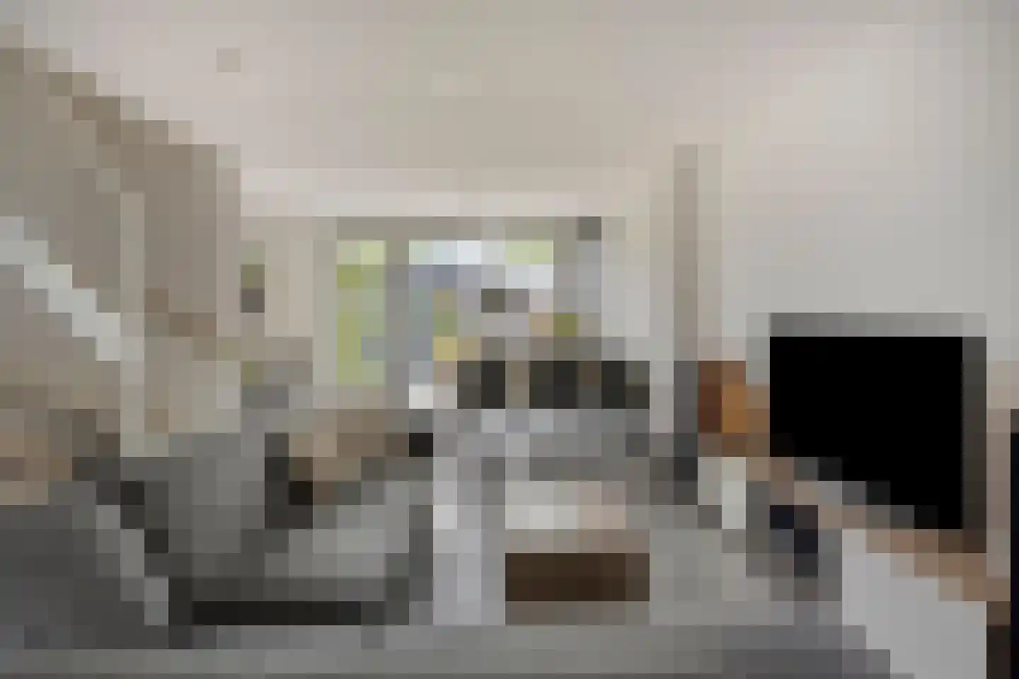 Meerkoetstraat 70 Duiven thumbnail 9
