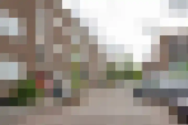 Meerkoetstraat 75 Rotterdam thumbnail 22