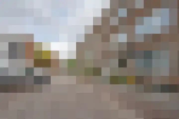 Meerkoetstraat 75 Rotterdam thumbnail 26