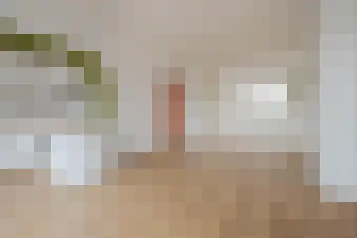 Meerkoetstraat 75 Rotterdam thumbnail 7